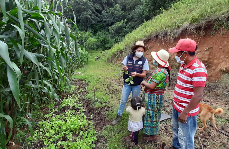 13-GUATEMALA_2020_Proyecto-horticola-para-luchar-contra-desnutricion-de-ninos-Quic.jpeg