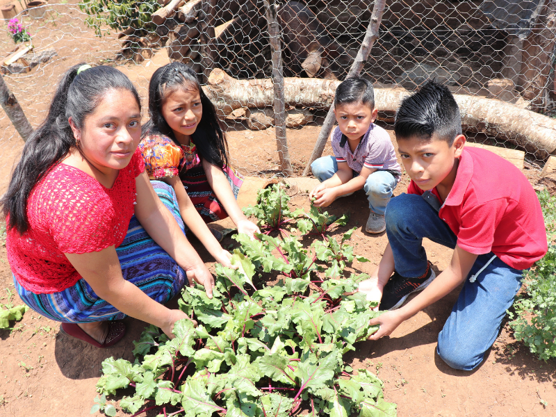 huertos-familiares-guatemala.png