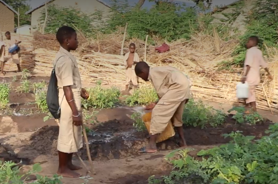 huertos-benin.png