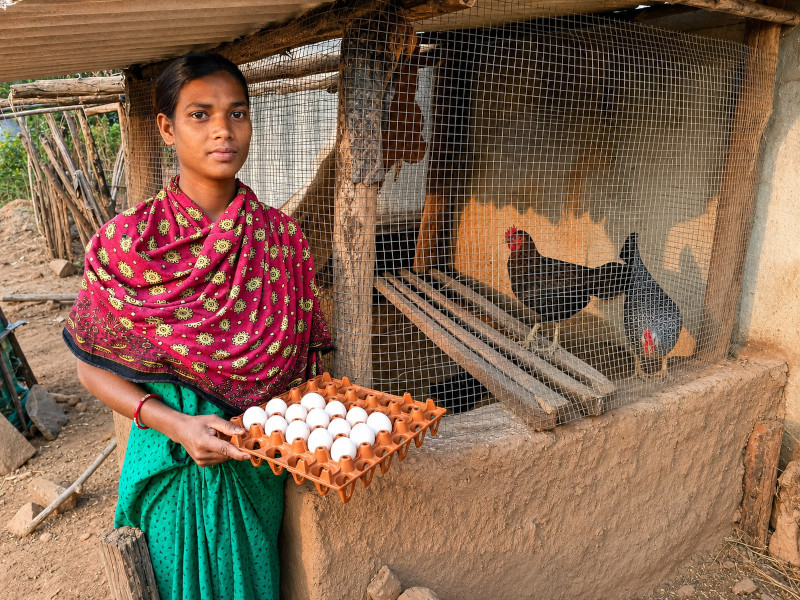 gallinas-india-mujer.jpg