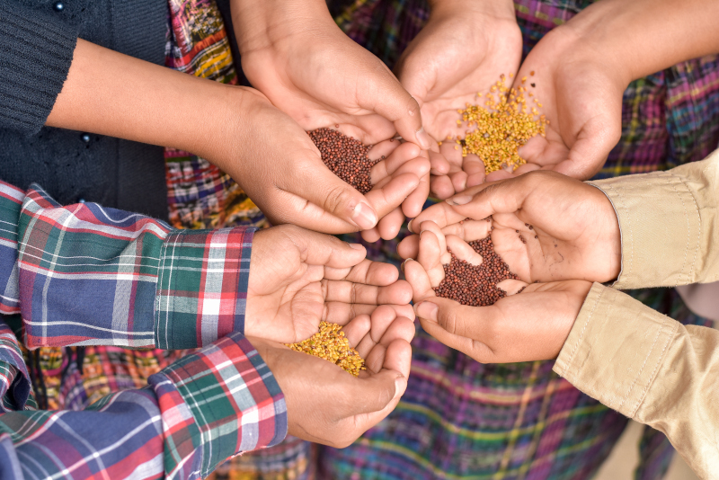 huerto-escuela-guatemala-(1).jpg huerto-escuela-guatemala-(1).jpg