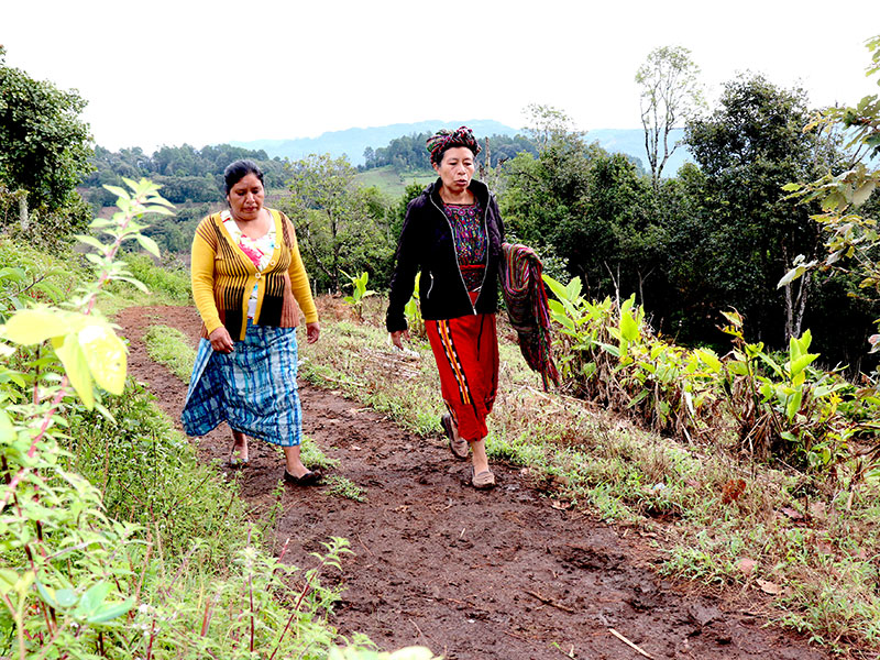 Guatemala-mujeres-campesinas-Ixil.jpg