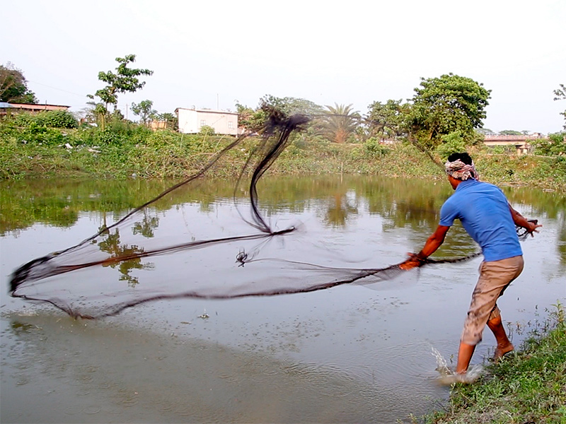 jovenes-piscicultura-eco-Bangladesh.jpg