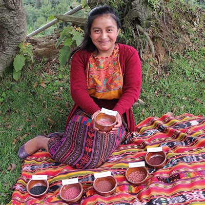 Regalos solidarios